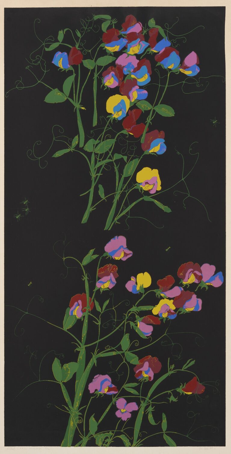 Lilled LXXIII, Malle Leis