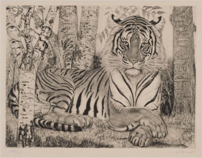 Eduard Wiiralt. Lamav tiiger. IV seisund, 1937–50. Pehmelakk, kuivnõel, kreemikas paber. Lm 37,4 x 56,4 cm. ; Plm 29,7 x 39,3 cm. Alghind: 16000 € Haamrihind: 16000 €