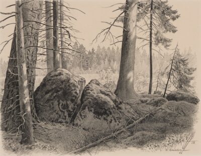 Günther Reindorff. Mets.1963. Joonistus. Itaalia pliiats, press-süsi, Marais´paber. Lm 31,2 x 39 cm. ; Vm 29 x 37,7 cm. Alghind: 1800 €