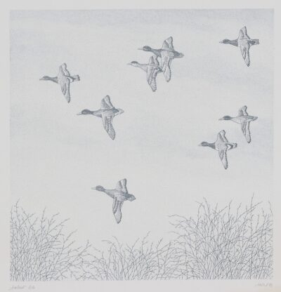 Mare Vint. Äralend. 1980. Lito, paber. Plm 30.7 x 30 cm. ; Lm 39.2 x 38 cm.