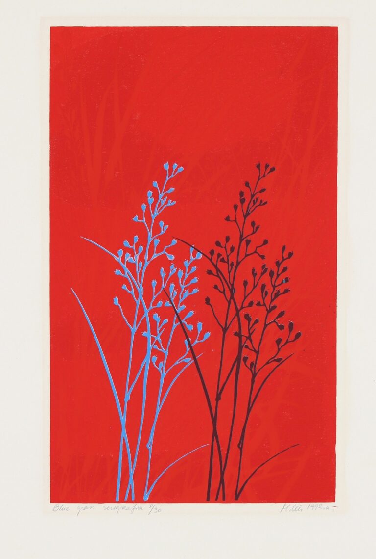 Blue grass, Malle Leis